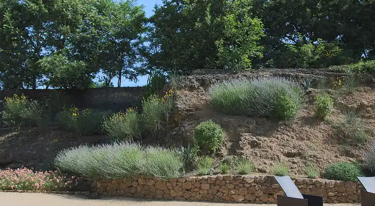 Mansione in Rapolano Terme