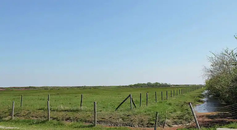 Holiday home in Callantsoog