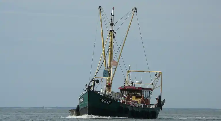 Cottage in Hippolytushoef