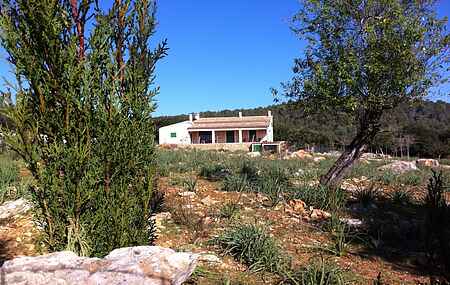 Sommerhus mh23124