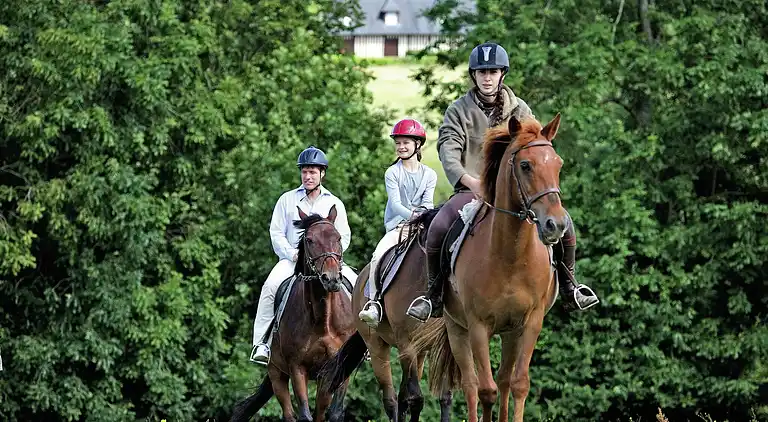 Appartamento in Dozulé