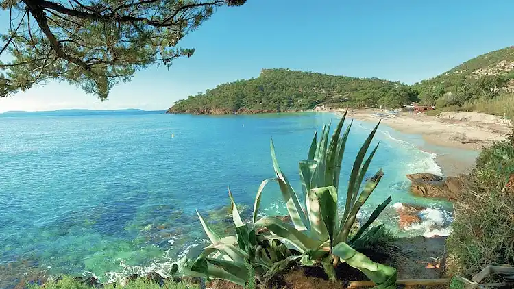 Appartamento in Le Lavandou