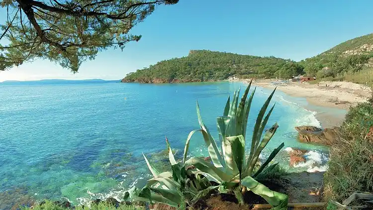 Appartamento in Le Lavandou