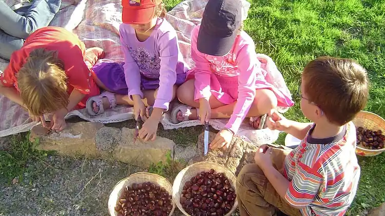 Apartment in Montaione