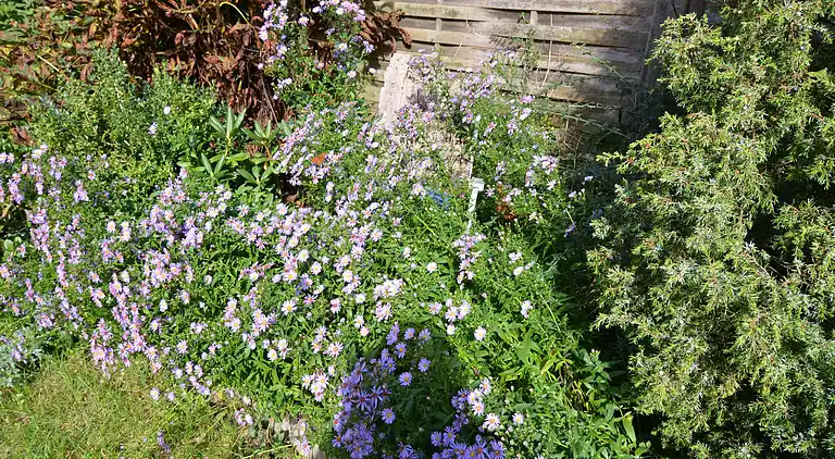 Holiday home in Kappe