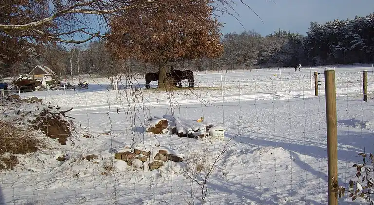 Holiday home in Kappe