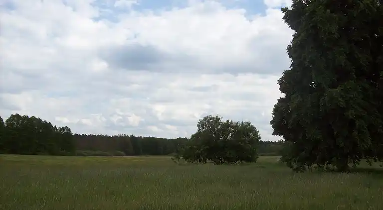 Holiday home in Kappe