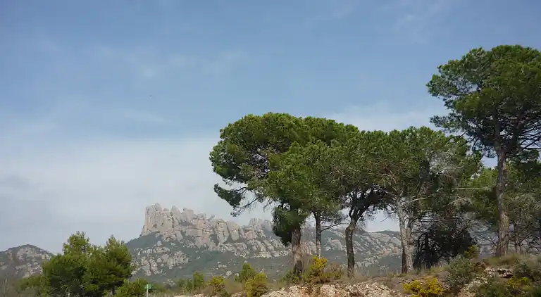 Farm house in Els Hostalets de Pierola