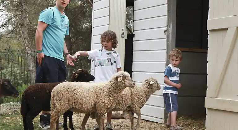 Ferienwohnung in Vernègues