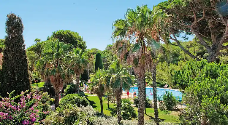 Ferienwohnung in Hyères