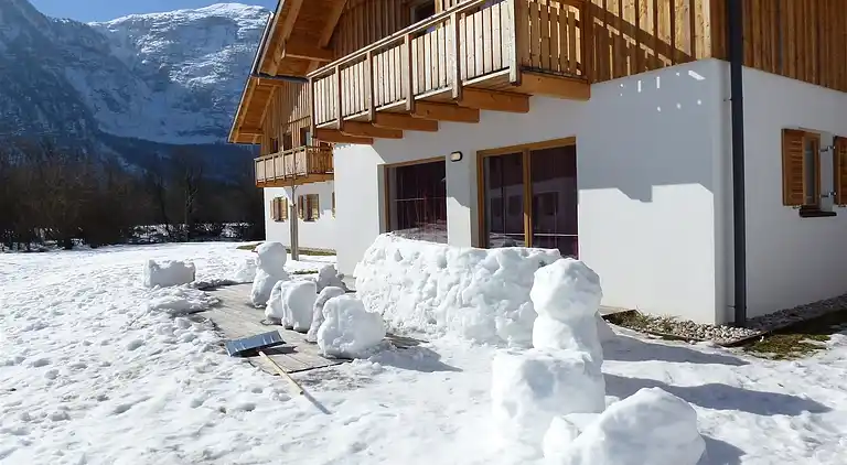 Cottage in Obertraun