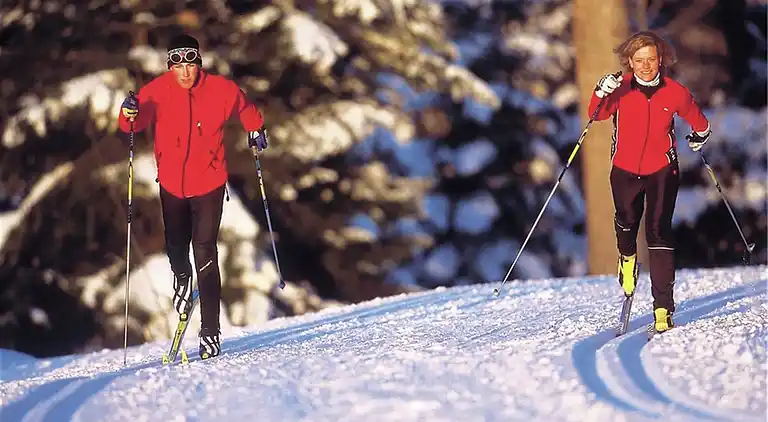 Cottage in Obertraun