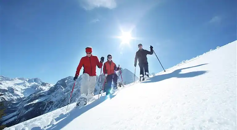 Cottage in Obertraun