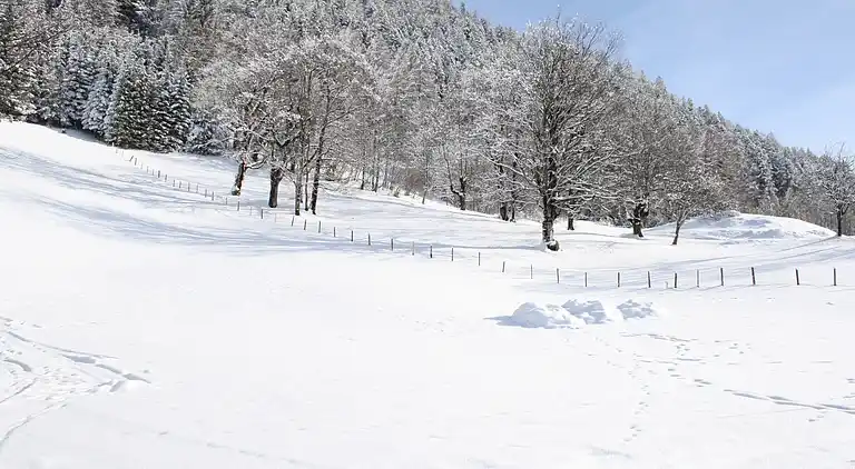 Holiday home in Krispl