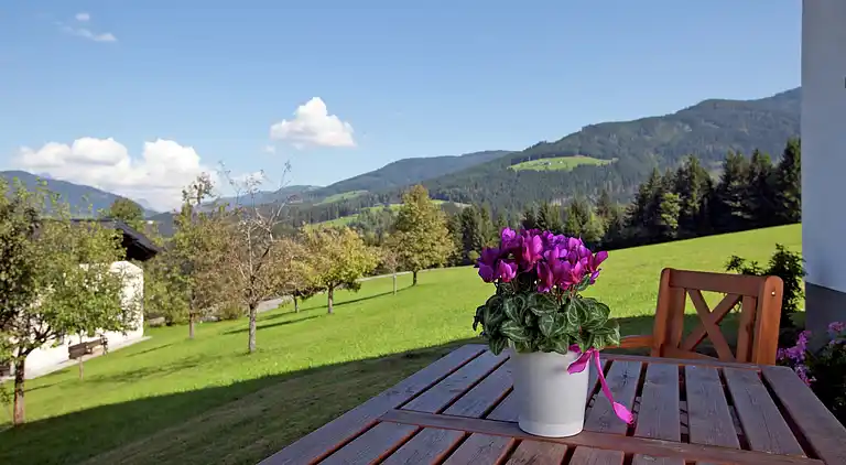 Holiday home in Hüttau