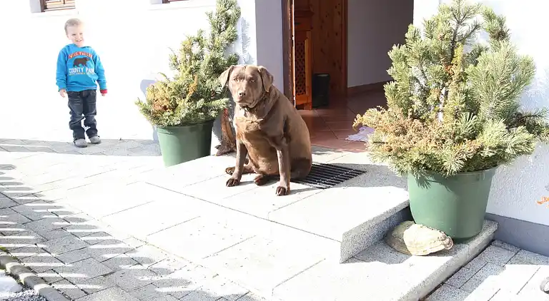 Holiday home in Hüttau
