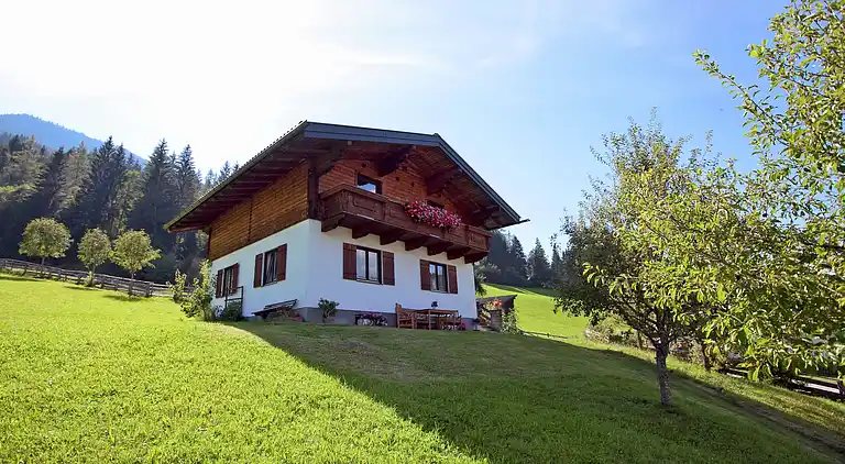 Apartment in Hüttau