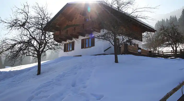 Apartment in Hüttau