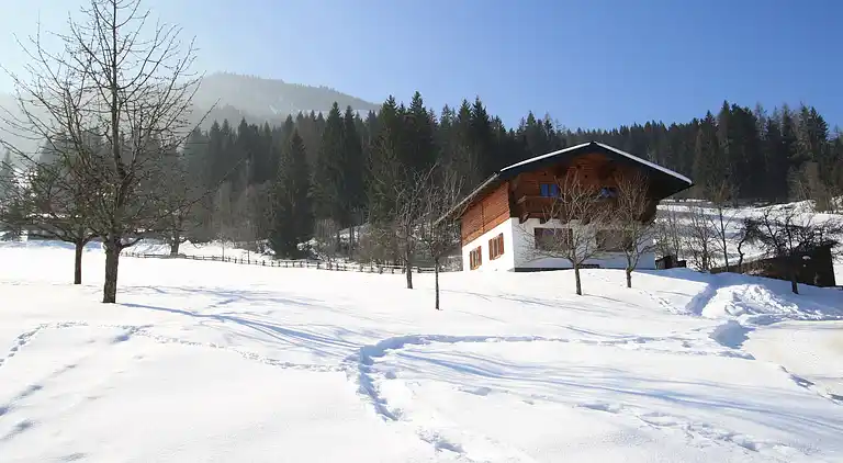 Apartment in Hüttau