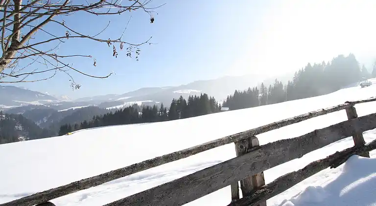 Apartment in Hüttau