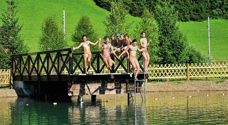 Apartment in Hüttau