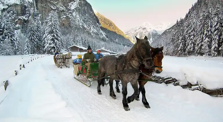 Apartment in Hüttau