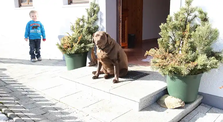 Apartment in Hüttau