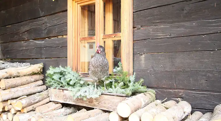 Manor house in Höllberg