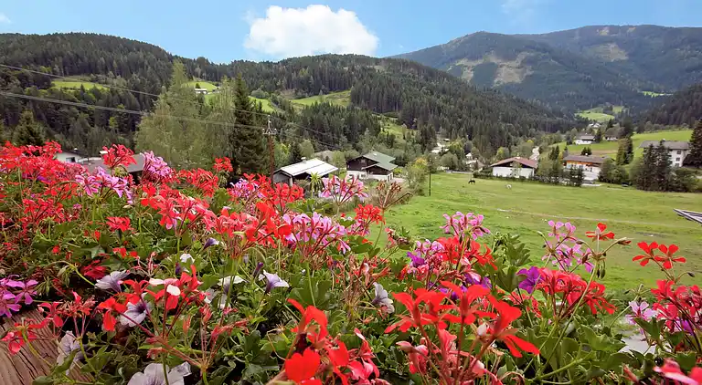 Apartment in Neuberg