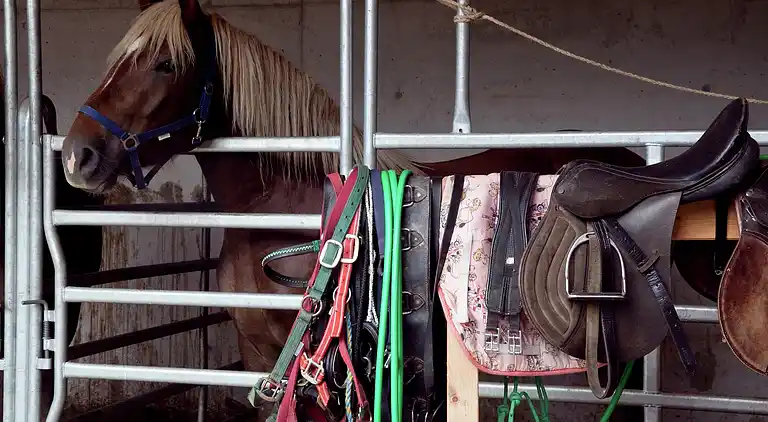 Apartment in Neuberg