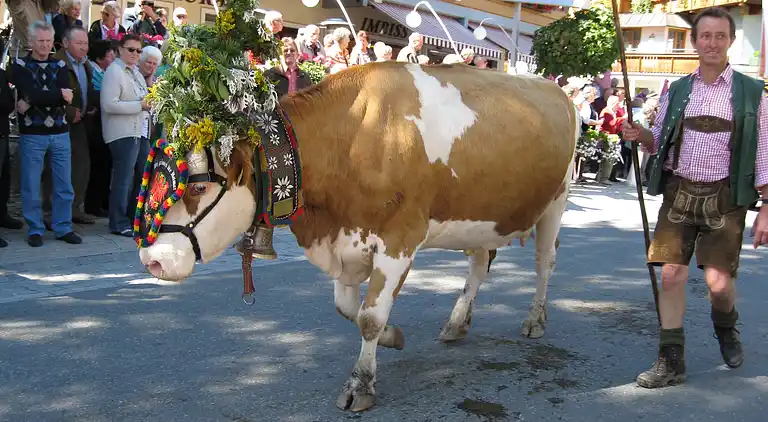 Ferielejlighed i Filzmoos