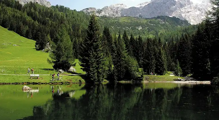 Ferielejlighed i Filzmoos