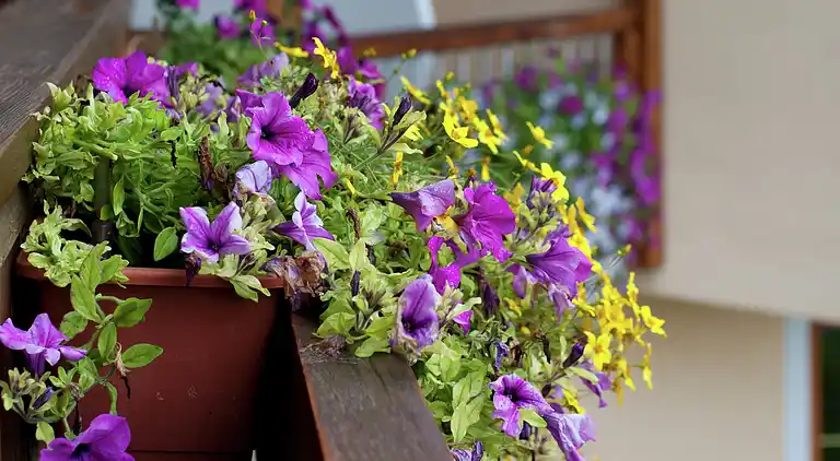 Ferielejlighed i Altenmarkt im Pongau