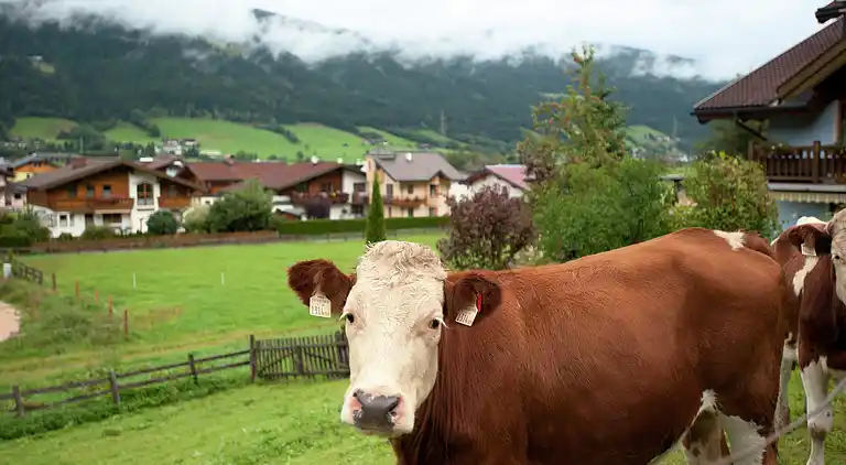 Ferielejlighed i Altenmarkt im Pongau