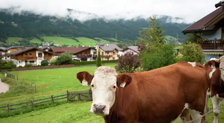 Apartment in Altenmarkt im Pongau