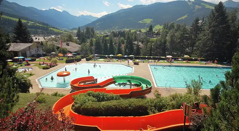 Apartment in Forstau