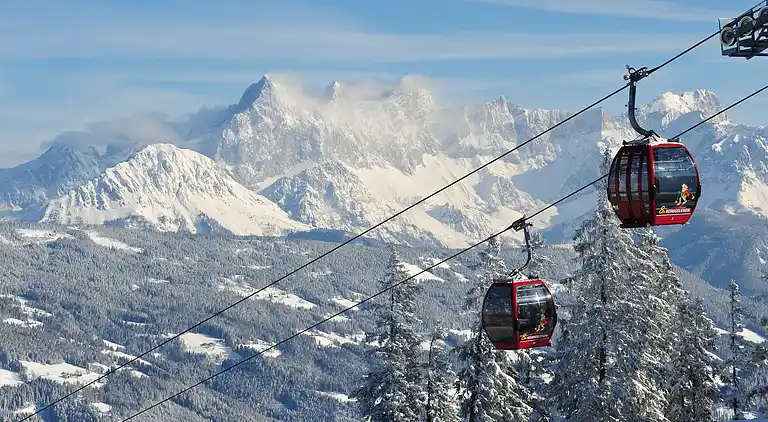 Apartment in Forstau