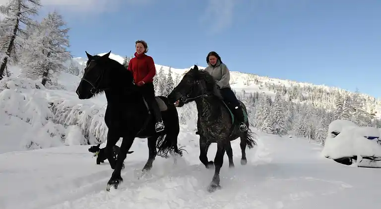 Apartment in Sankt Michael im Lungau