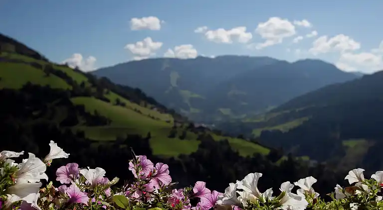 Lägenhet i Sankt Johann im Pongau