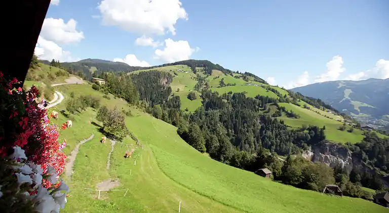 Apartment in Saint Johann im Pongau