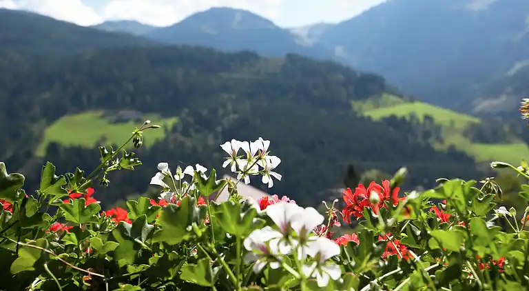 Ferielejlighed i Saint Johann im Pongau