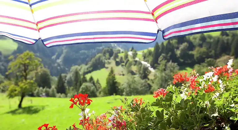 Ferielejlighed i Saint Johann im Pongau