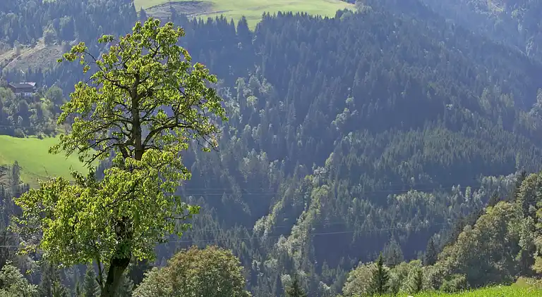 Ferielejlighed i Saint Johann im Pongau