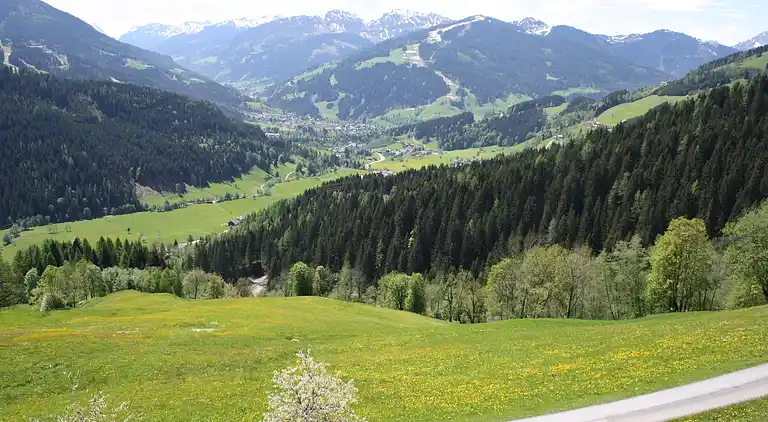 Sommerhus i Schwaighof