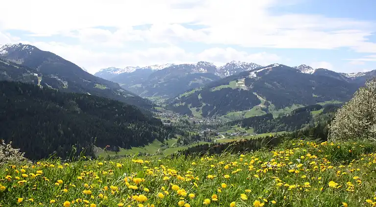 Apartment in Hubdörfl
