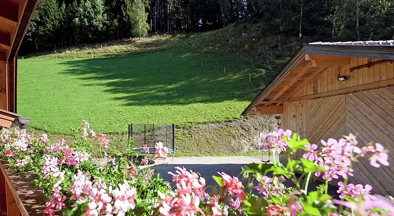 Apartment in Schütt