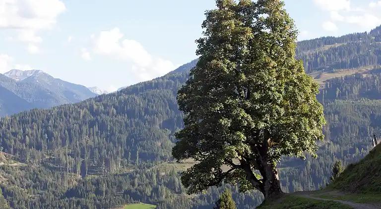 Apartment in Schütt