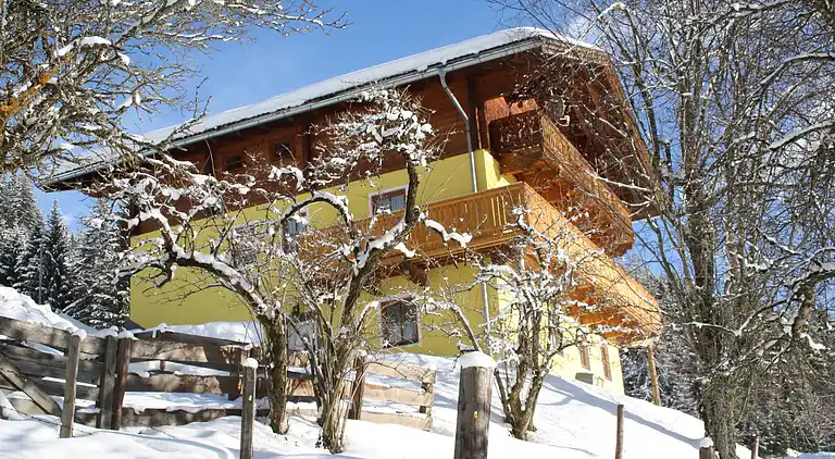 Apartment in Schwaighof