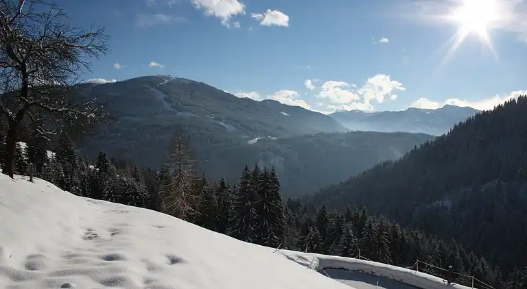 Apartment in Schwaighof