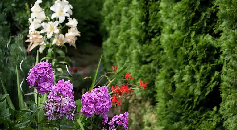 Ferielejlighed i Wagrain